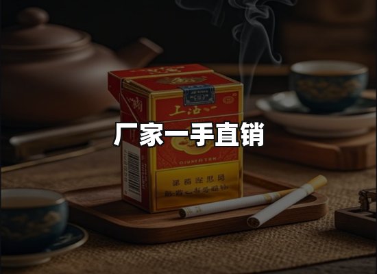 专业优势